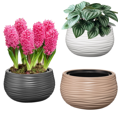 Blumentopf rund schale - blumentopf,