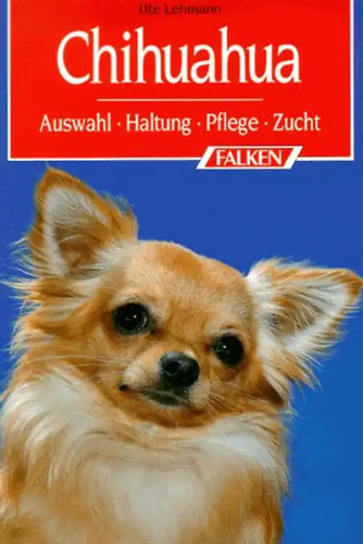 Chihuahua auswahl haltung - chihuahua., auswahl,