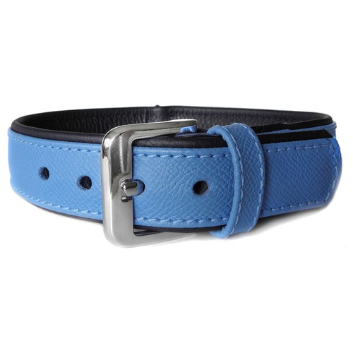 Das lederband hundehalsband - das,