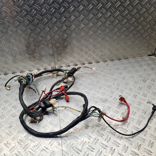 Kabelbaum elektronik sachs sfm - kabelbaum,