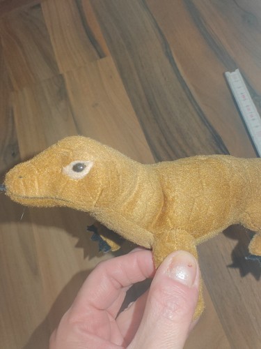 Echse gecko eidechse skink - echse,