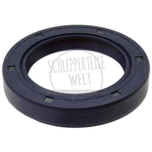 Dichtring hinterachswelle 55 - dichtring, ,