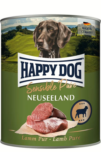 Happy dog sensible - happy,