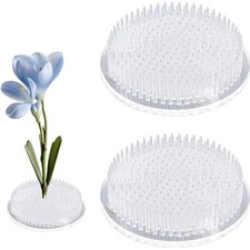 Runder Blumen-Frosch