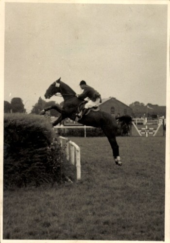 Foto reitturnier - foto,