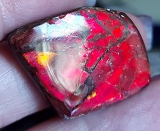 Wie flüssige Lava:  Drachenschuppen Ammolit      (B41)