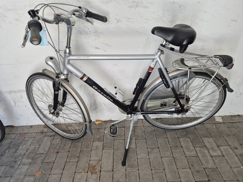 Gazelle populair - gazelle,