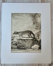 1767 Lithographie Kunstdruck