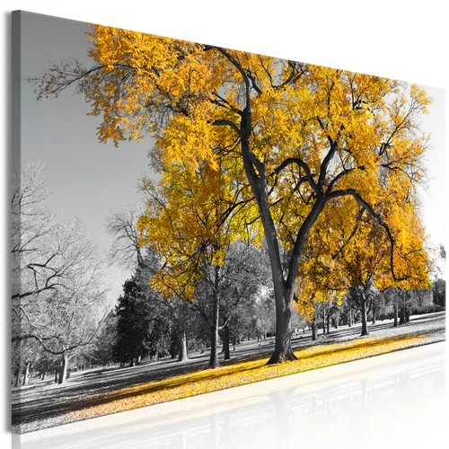 Baum rot landschaft - rot,