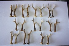 Konvolut 10 Paar Rehgeweihe