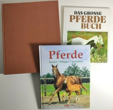 Pferde Bücher Rassen Pflegen Verstehen Königreich des Pferdes Reiten Fahren
