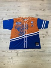 Johnny Blaze Ghost Rider