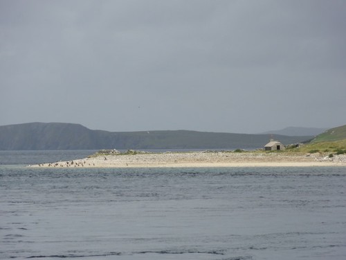 Foto linga insel gutcher - linga,