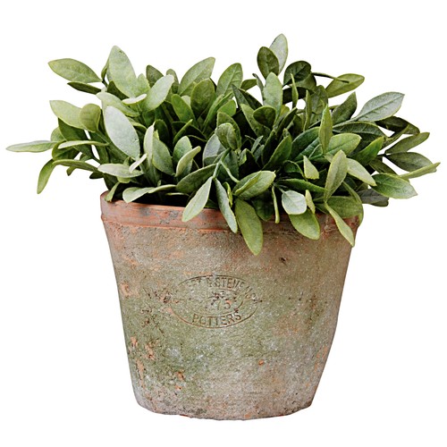 Hoch aged terracotta - cm,