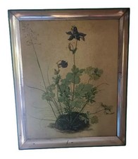 Albrecht Dürer Druck