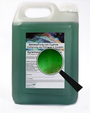 5 Liter Synechococcus Sp. mit marinen Zooplankton - Copepoden gegen Cyano