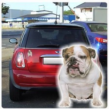 Autoaufkleber Englische Bulldogge Auto Aufkleber Sticker Digitaldruck DA2017 