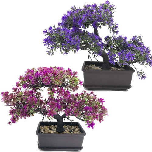 Kunstpflanze bonsai set - kunstpflanze,