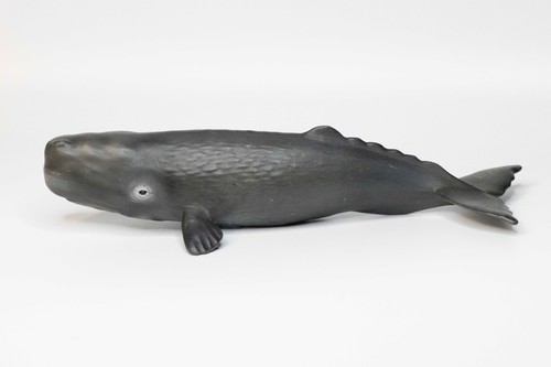 Schleich 16095 pottwalkalb - 16095, –