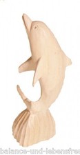 Wunderschöner Delphin