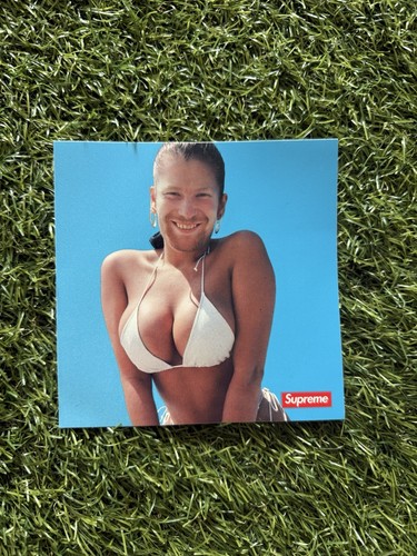 Supreme aphex twin sticker - twin,