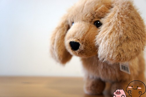 Jellycat pecanine sausage dog - jellycat,