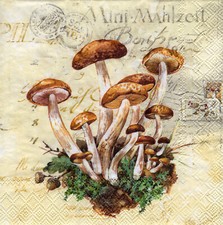 3 Cocktail Servietten ~ Herbst, Pilze, MUSHROOMS HARVEST ~ 25x25