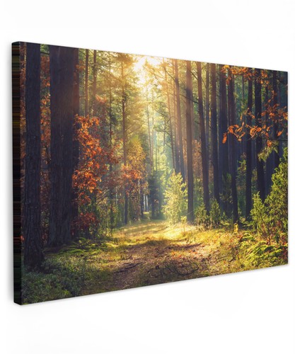 Canvas leinwand bilder wand - bilder,