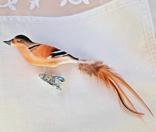 ❀ Bergfink Glasvogel Lauscha