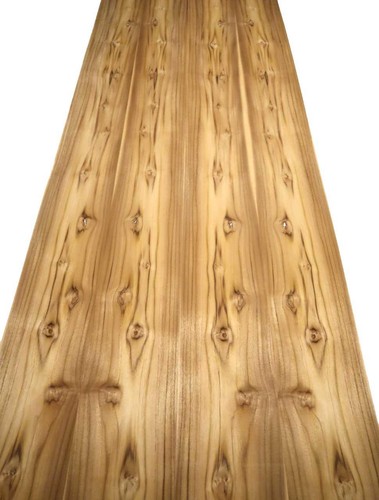 Teak furnier teakholz - furnier,