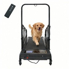 Dog Pacer Treadmill Electric