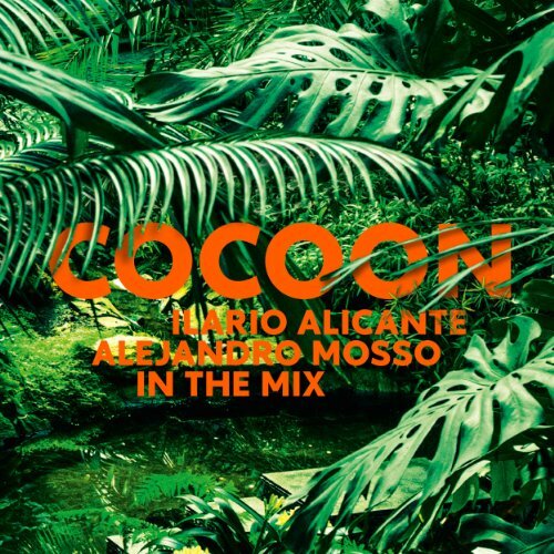 Cocoon ibiza mixed ilario - ibiza, by