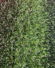 Kunstrasen grün,  hochwertige Qualität, 4 m x 1,16 m, neuwertig/verpackt