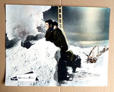 EISSTATION ZEBRA Rock Hudson