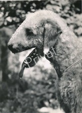 Kunst XL Foto aus Nachlass