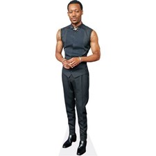 Tyler James Williams (Vest) Pappaufsteller mini