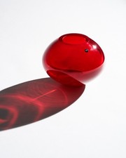 Wine-Red Elegant Rosenthal