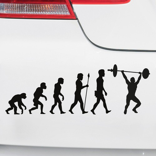 Auto aufkleber - auto,