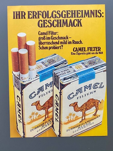 Camel filter erfolgsgeheimnis - filter,
