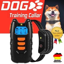 Elektroschock Pet Dog Training