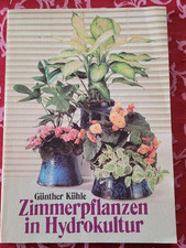 Zimmerpflanzen in Hydrokultur