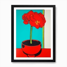 Blume amaryllis vase pop - blume,