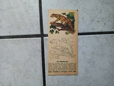 Schokoladenpackung