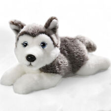 Carl Dick Husky liegend, Hund