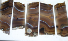 Dendriten Achat  /Achat