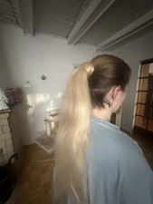 rapunzel of sweden Ponytail