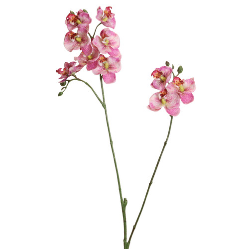 Künstliche orchideen - künstliche,