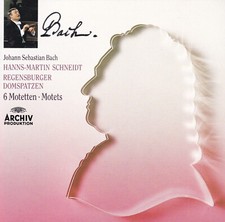 Regensburger Domspatzen