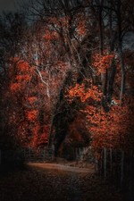 Boughton Monchelsea Kent A4