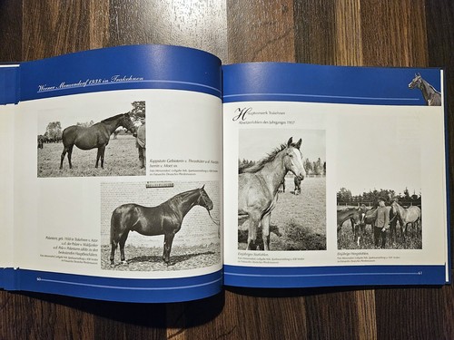 Mythos trakehnen geschichte - *,